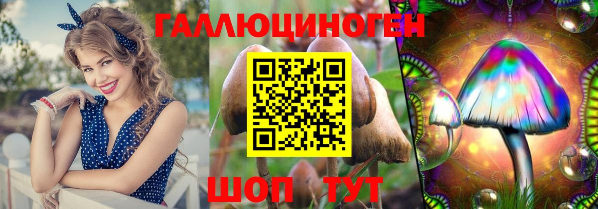 Псилоцибиновые грибы Psilocybine cubensis Советская Гавань