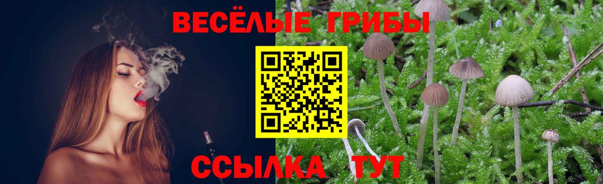 Псилоцибиновые грибы прущие грибы  Вход с VPN  Советская Гавань 
